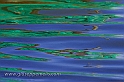 Green reflections (40D_12610_2rid)